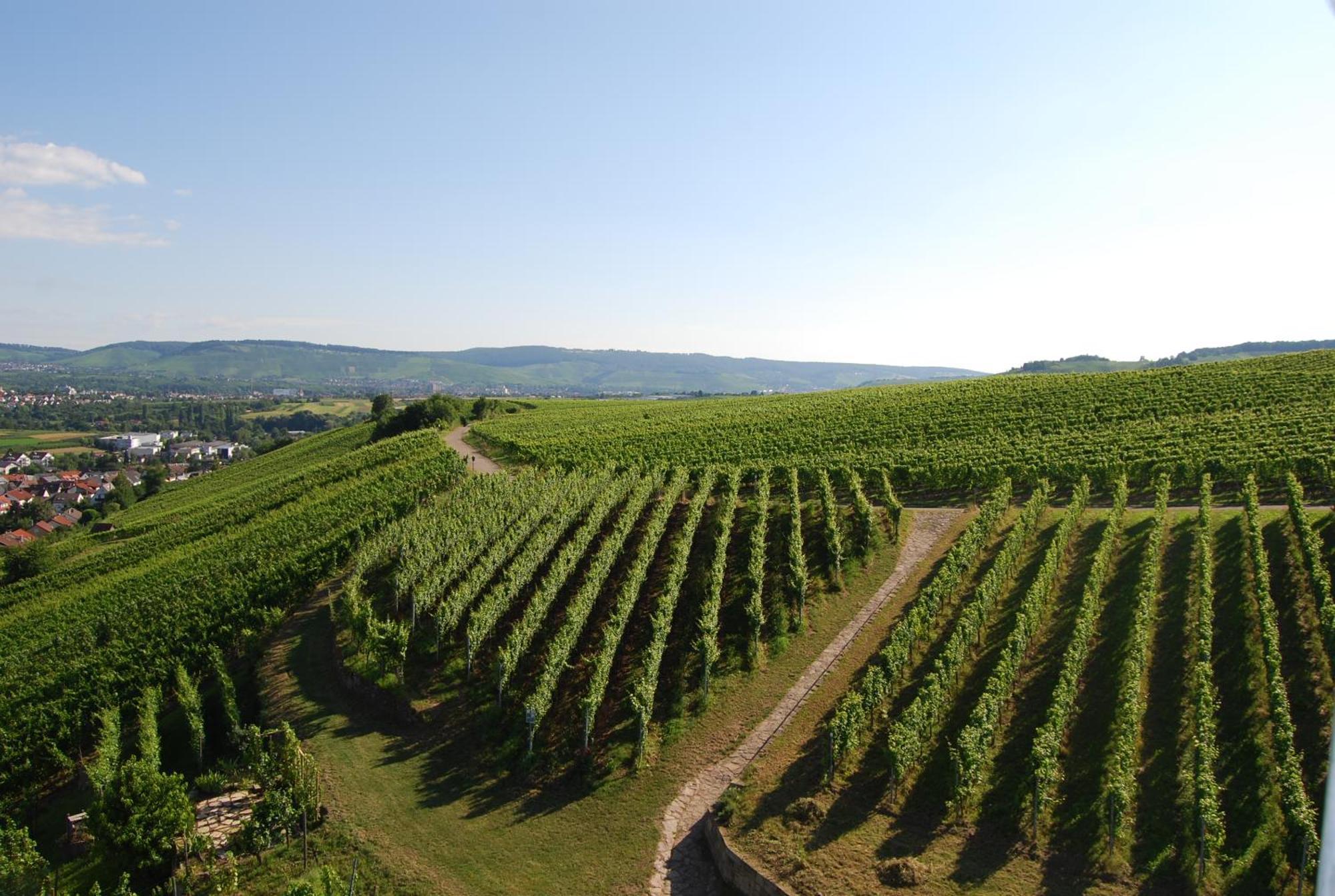Unter Der Yburg Stetten Stetten  Dış mekan fotoğraf