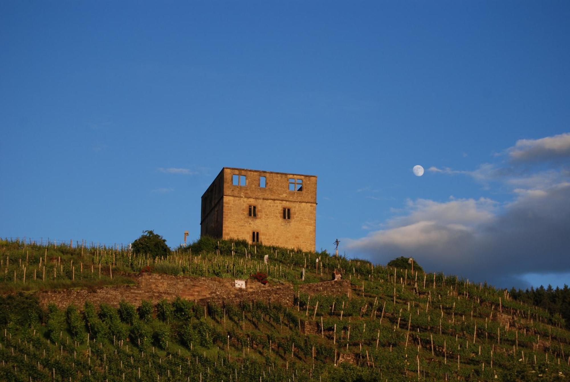 Unter Der Yburg Stetten Stetten  Dış mekan fotoğraf