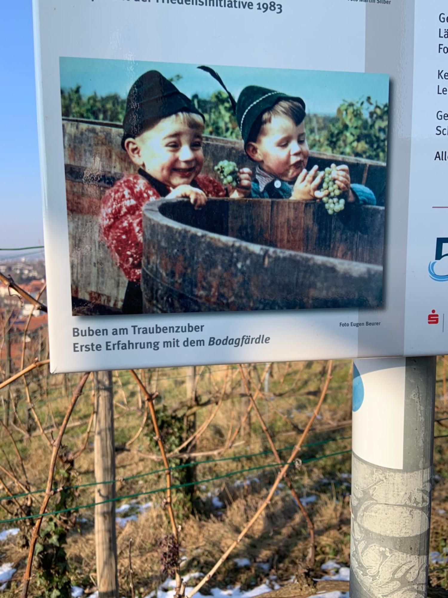 Unter Der Yburg Stetten Stetten  Dış mekan fotoğraf